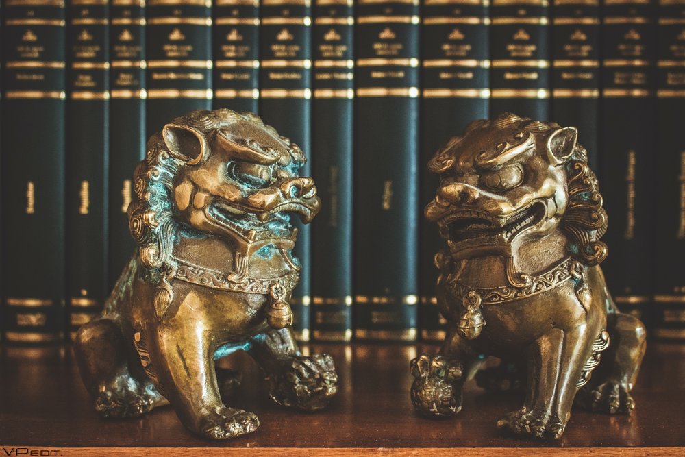 Image of two antique statues resembling two bronze lions and books in the background